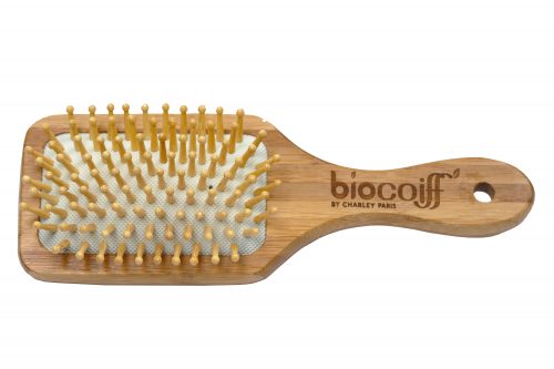 bamboo brush