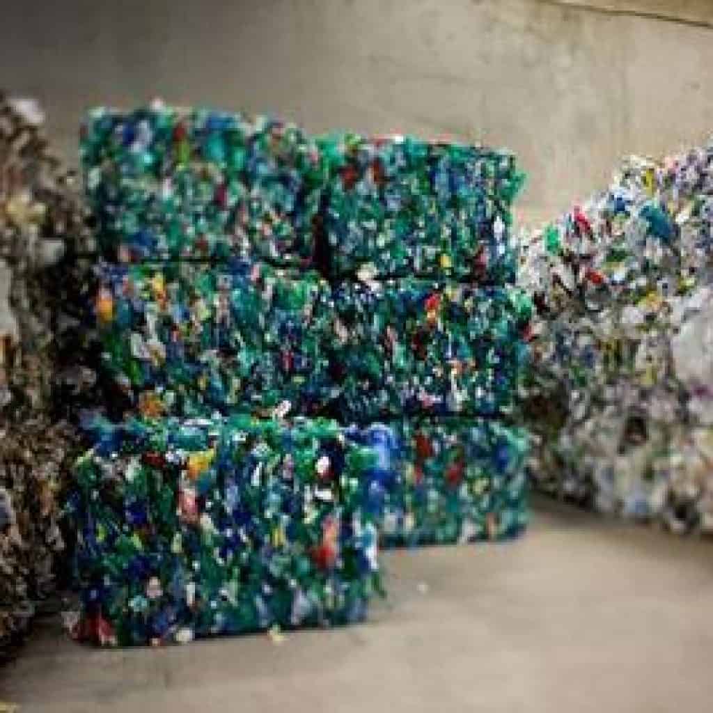 Contre le plastique, une entreprise invente des assiettes en feuilles