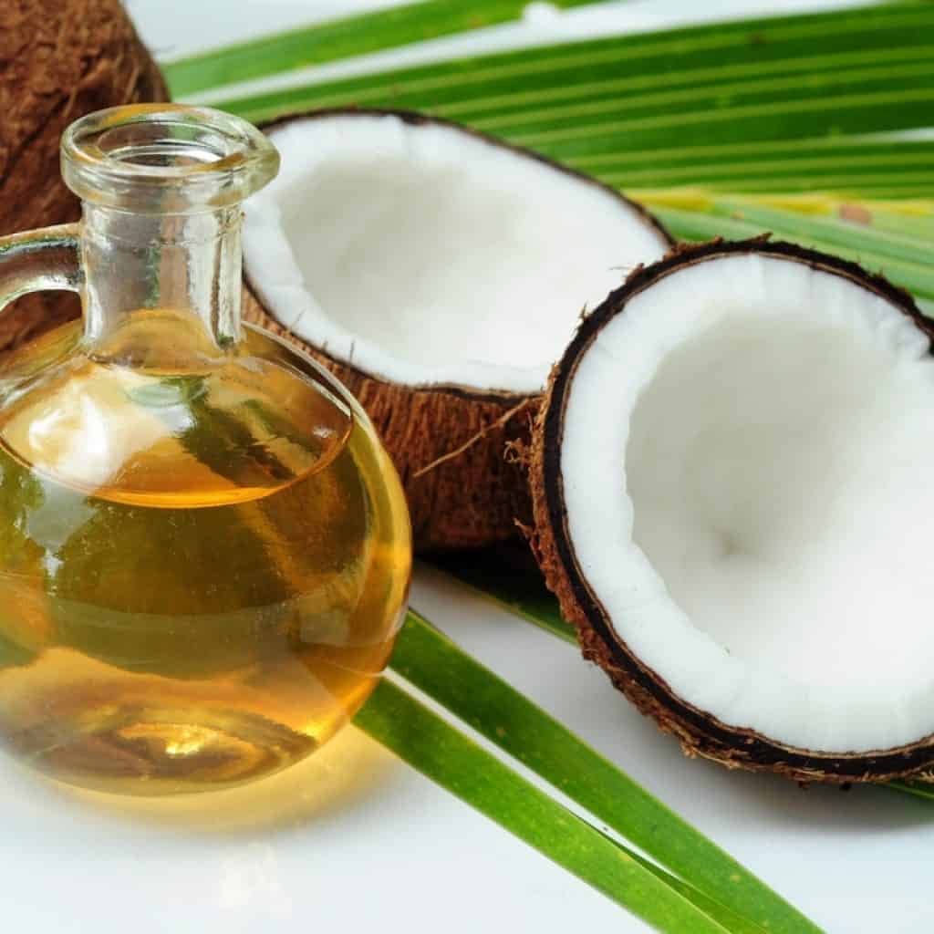 The benefits of coconut oil on our body