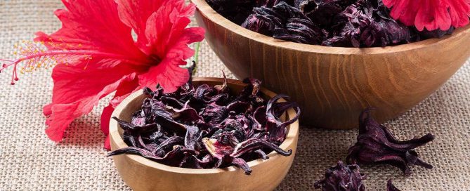 bienfaits de l'hibiscus sur les cheveux et la peau