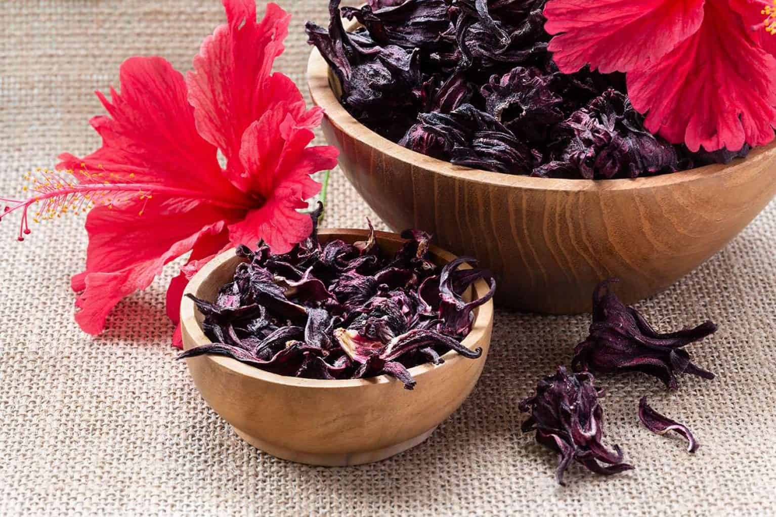 bienfaits de l'hibiscus sur les cheveux et la peau