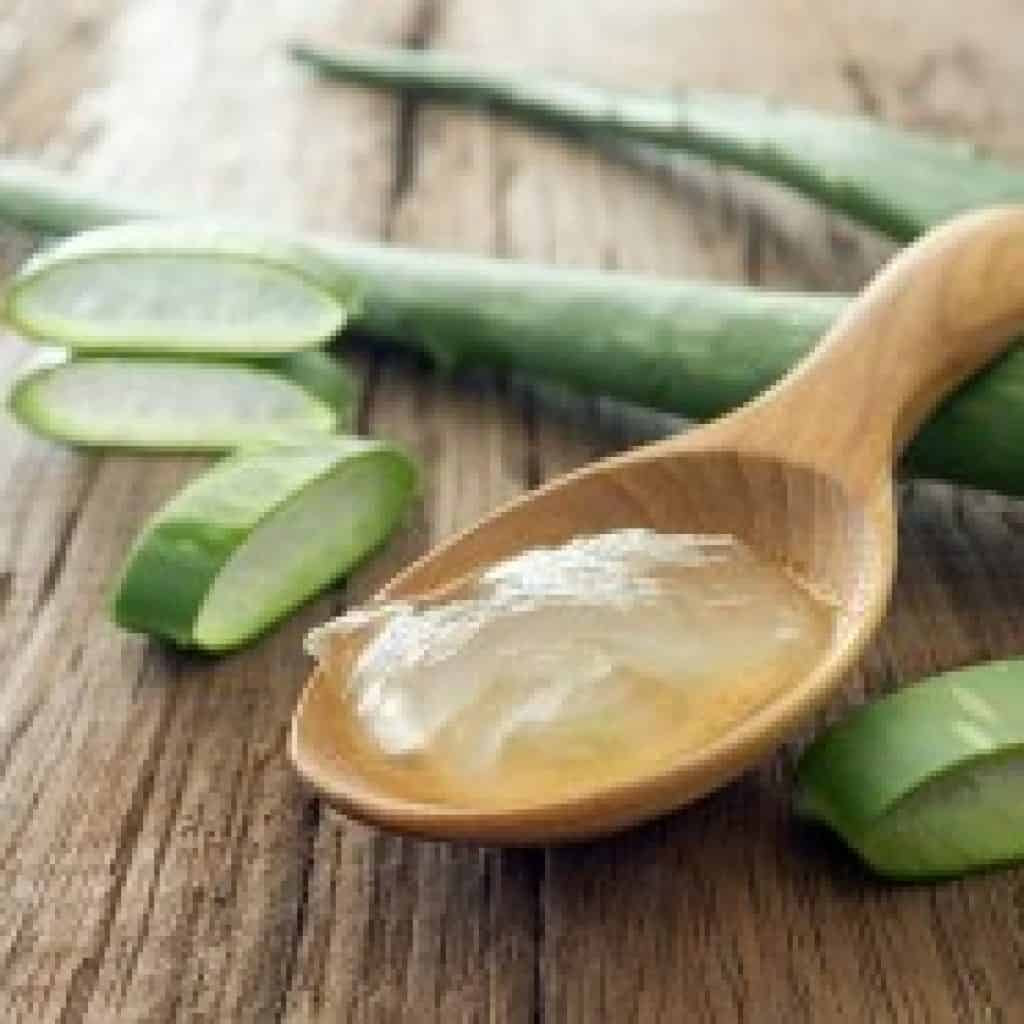 Les vertus du gel d'Aloe Vera