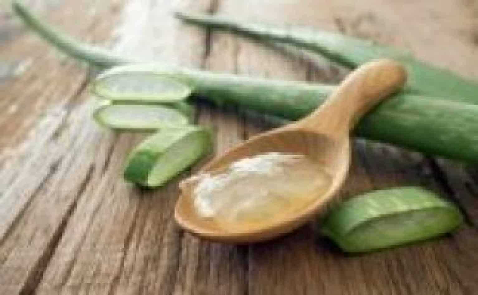 Les vertus du gel d'Aloe Vera