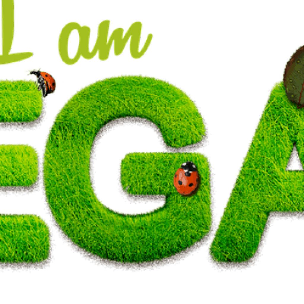 Des produits cosmétiques vegan à 100%