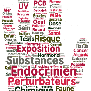 Perturbateurs endocriniens