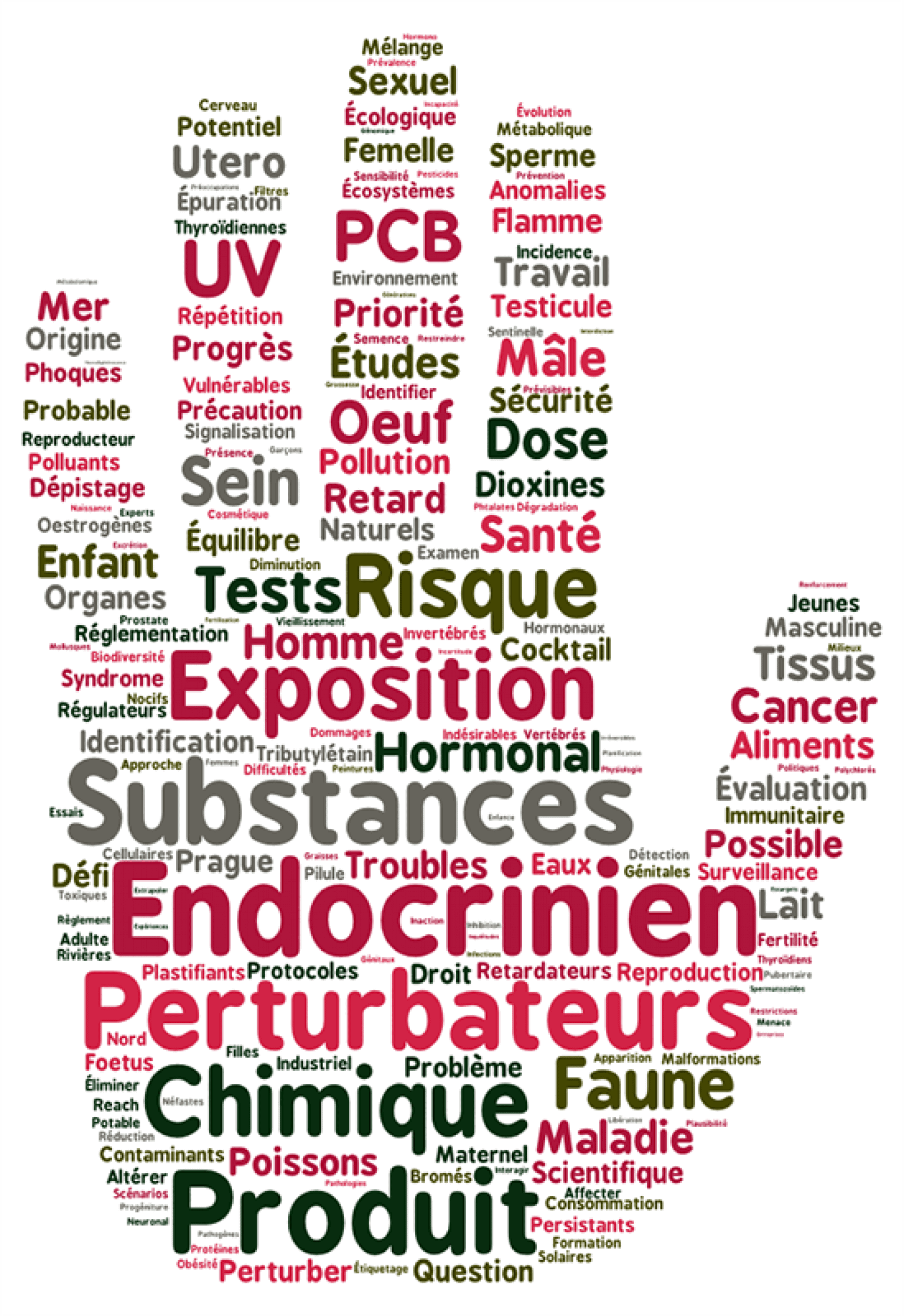 Perturbateurs endocriniens