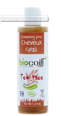 shampoing tea tree cheveux gras 