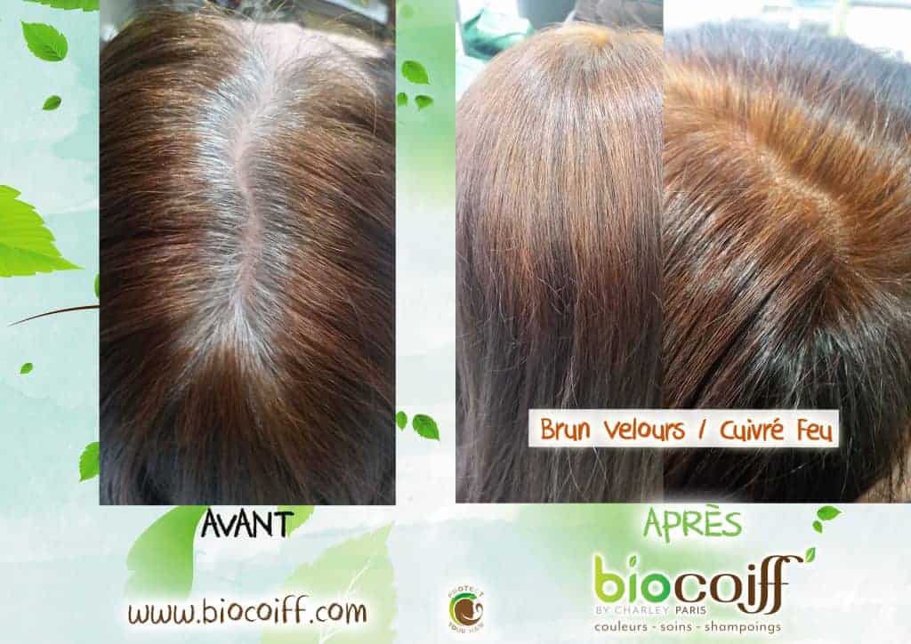 colorations végétales couverture cheveux blancs exemple