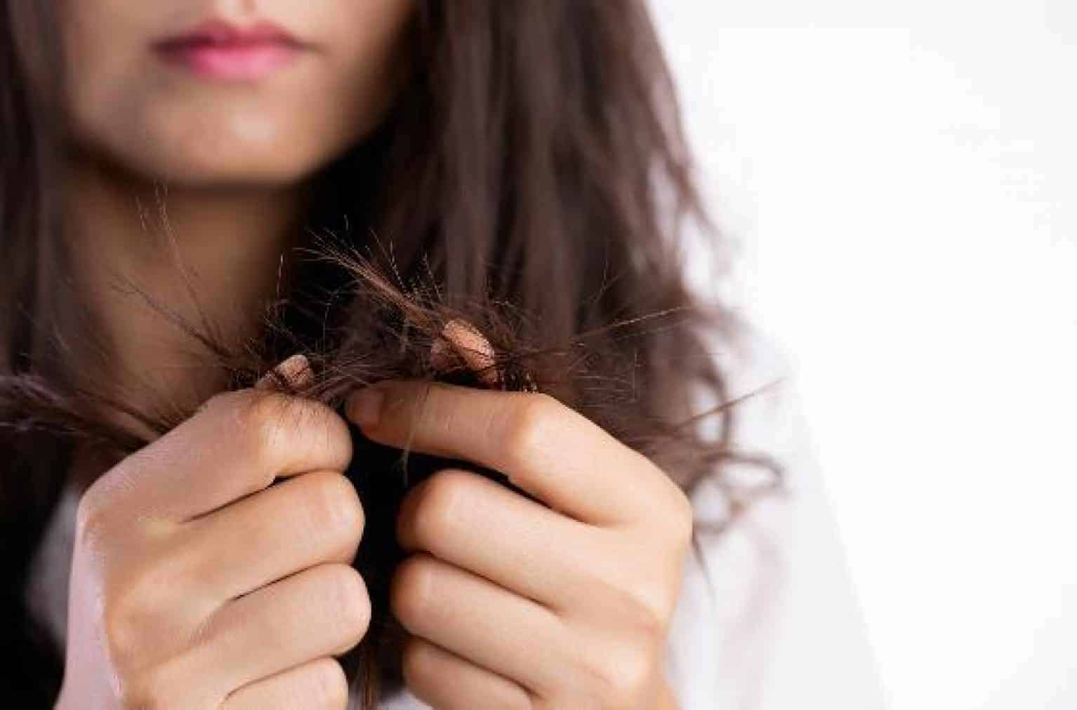 elegir un aceite para cabello seco