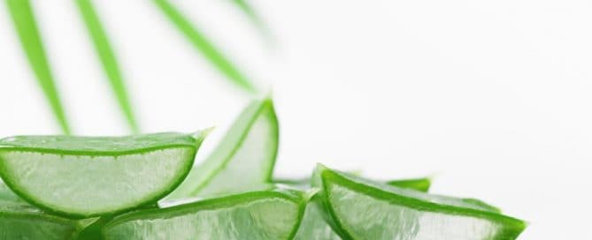 bienfaits d'un gel à l'Aloe Vera