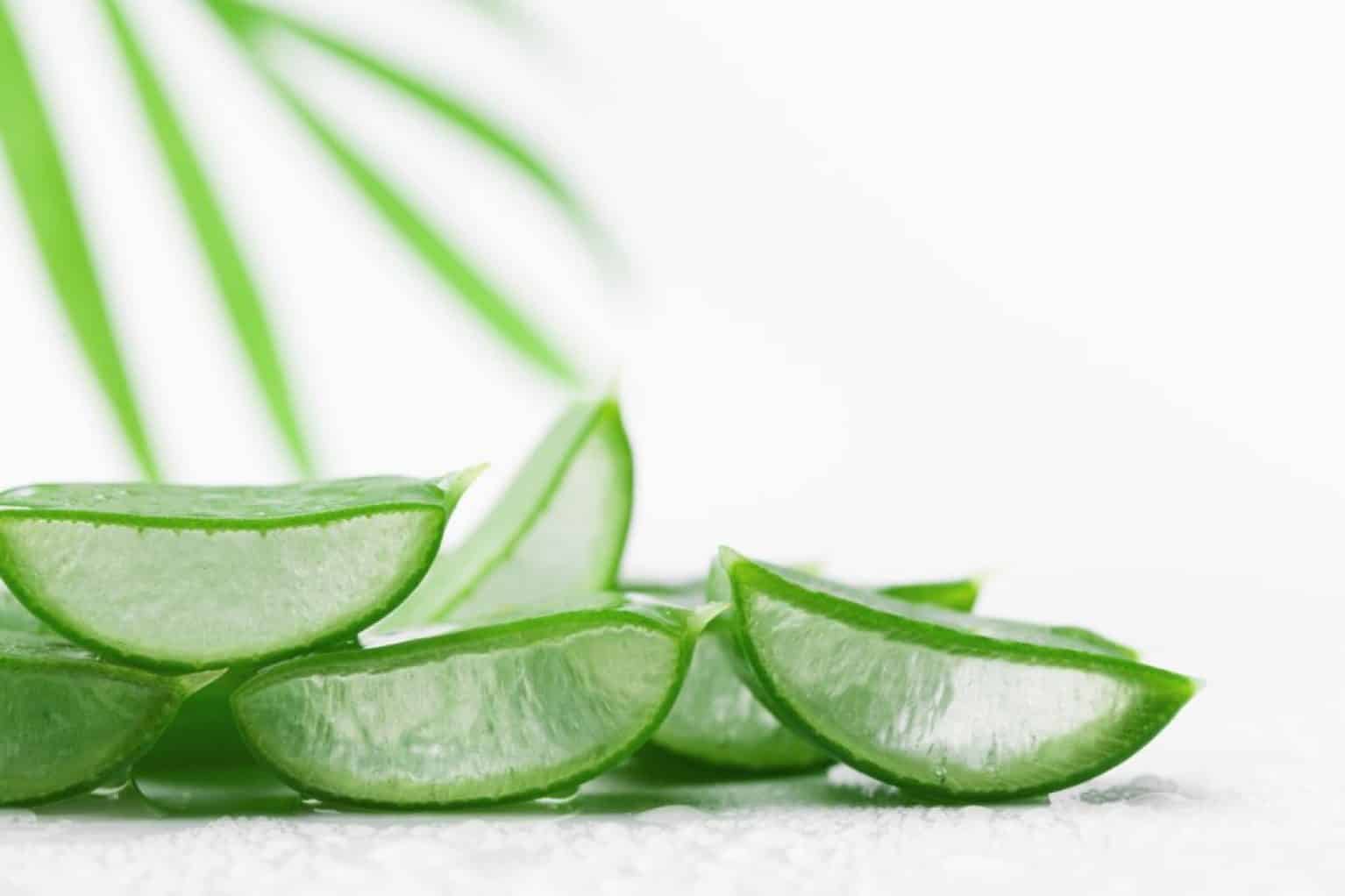 bienfaits d'un gel à l'Aloe Vera