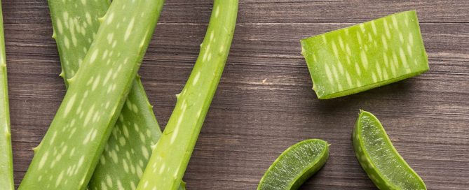 Vertus du shampoing à l'Aloe Vera