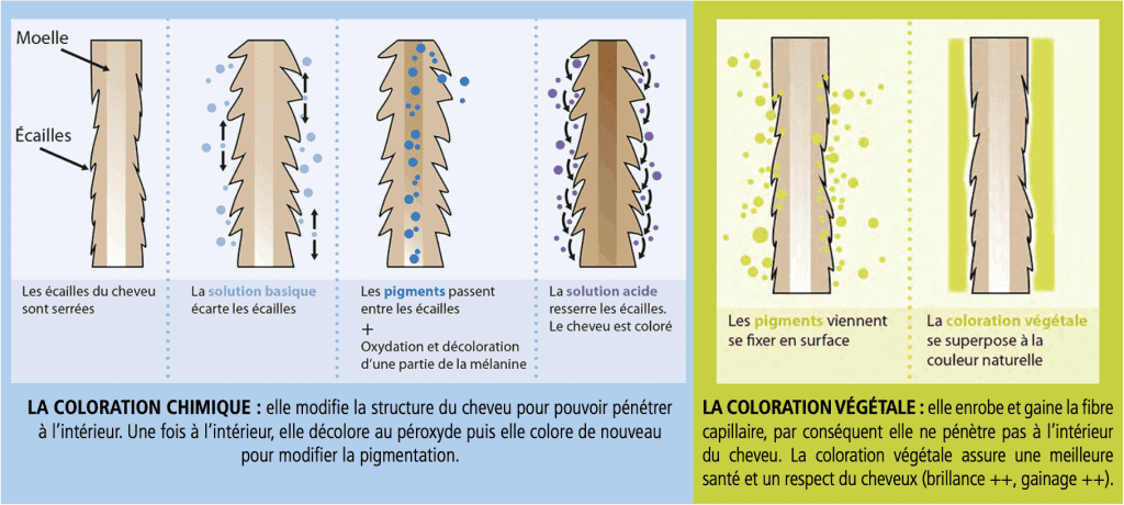 Différence coloration végétale / coloration chimique