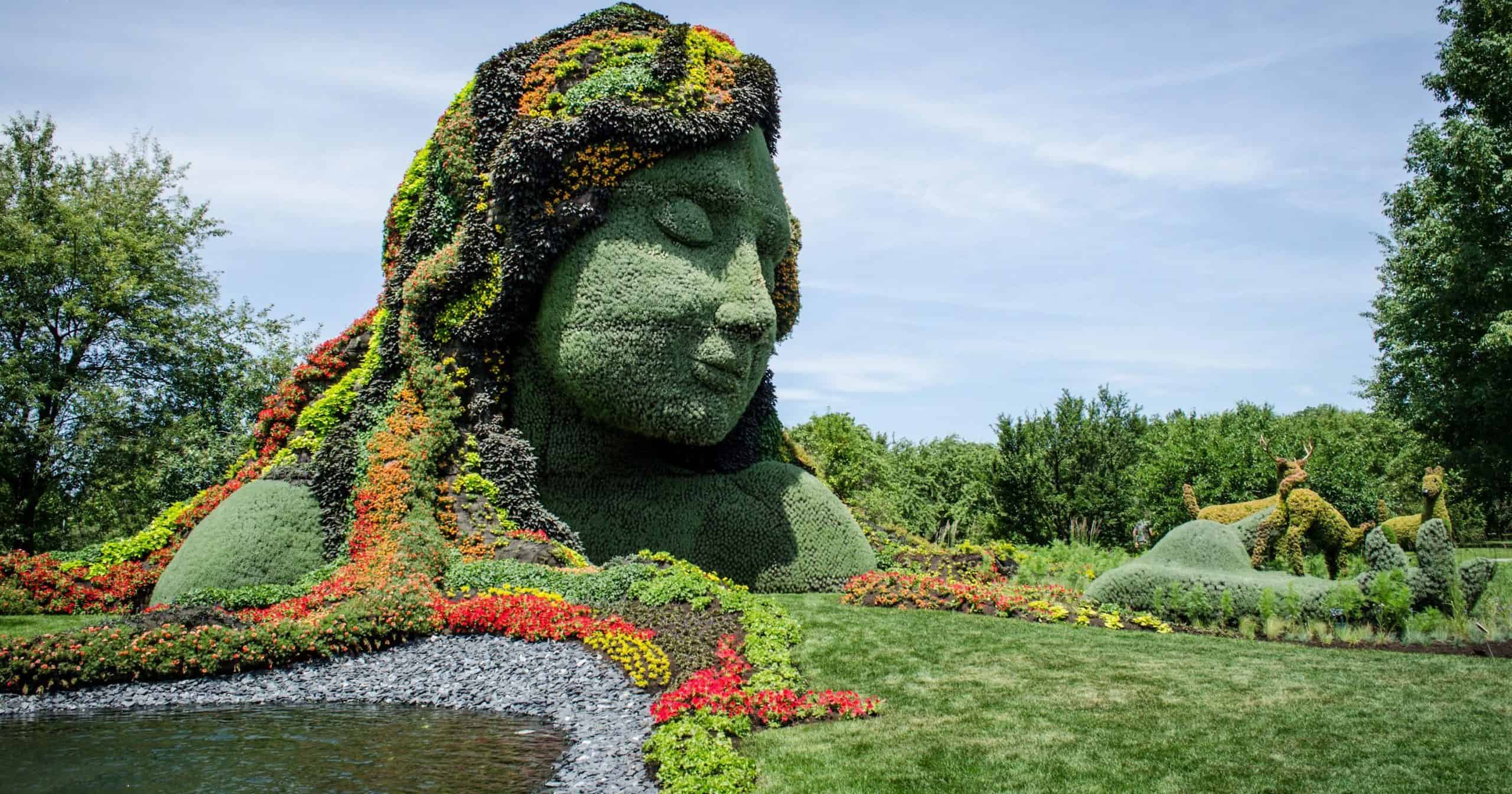 Femme cheveu en plantes
