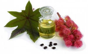 castor oil for hair