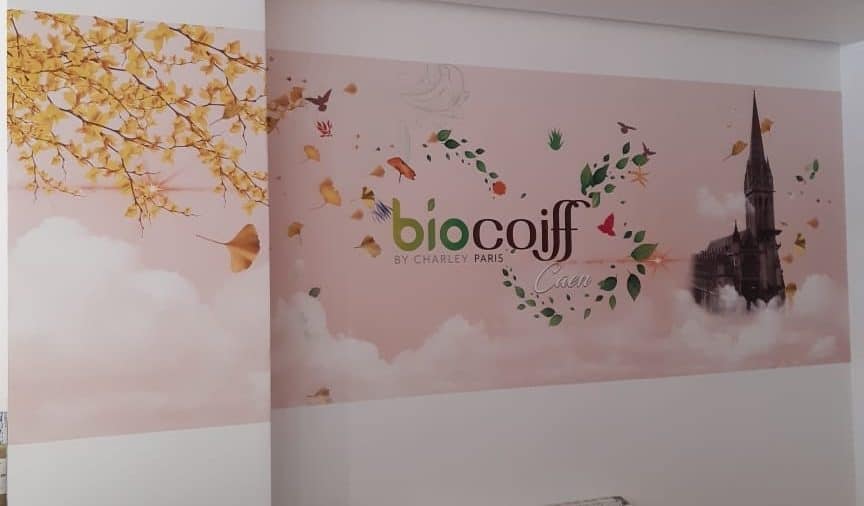 Fresco Biocoiff Caen