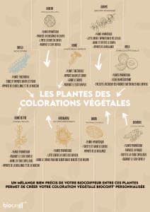 Les plantes Biocoiff'