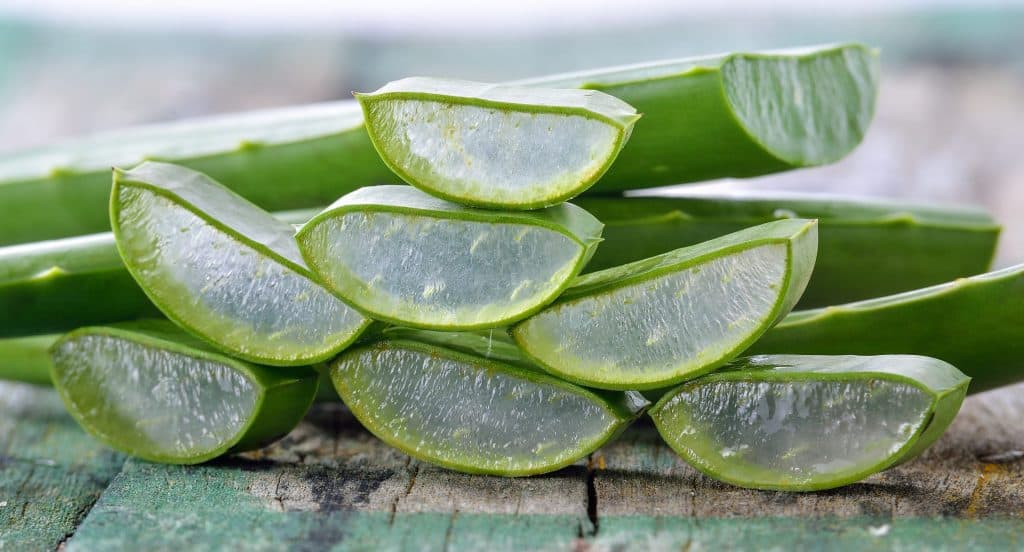 Plusieurs aloe vera pour cheveux posés ensemble