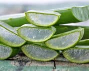 Plusieurs aloe vera pour cheveux posés ensemble