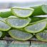 Plusieurs aloe vera pour cheveux posés ensemble