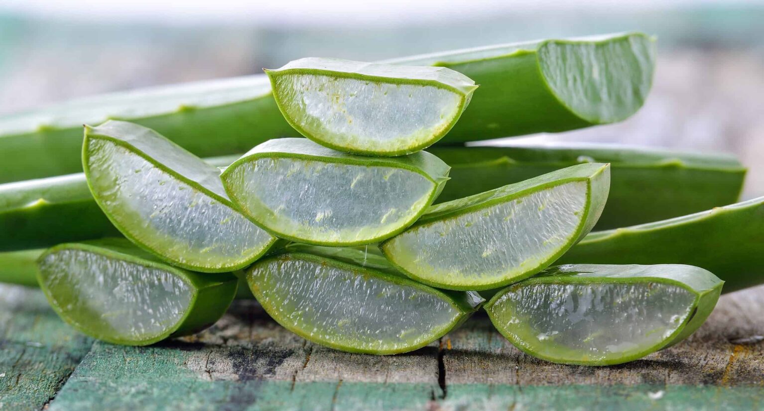 Plusieurs aloe vera pour cheveux posés ensemble