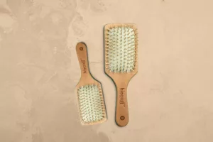 brosse en bambou