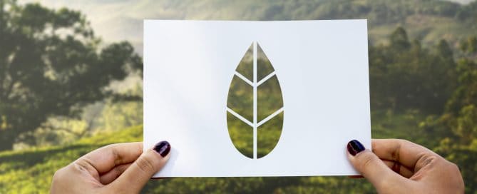 certifications-bio-vegan
