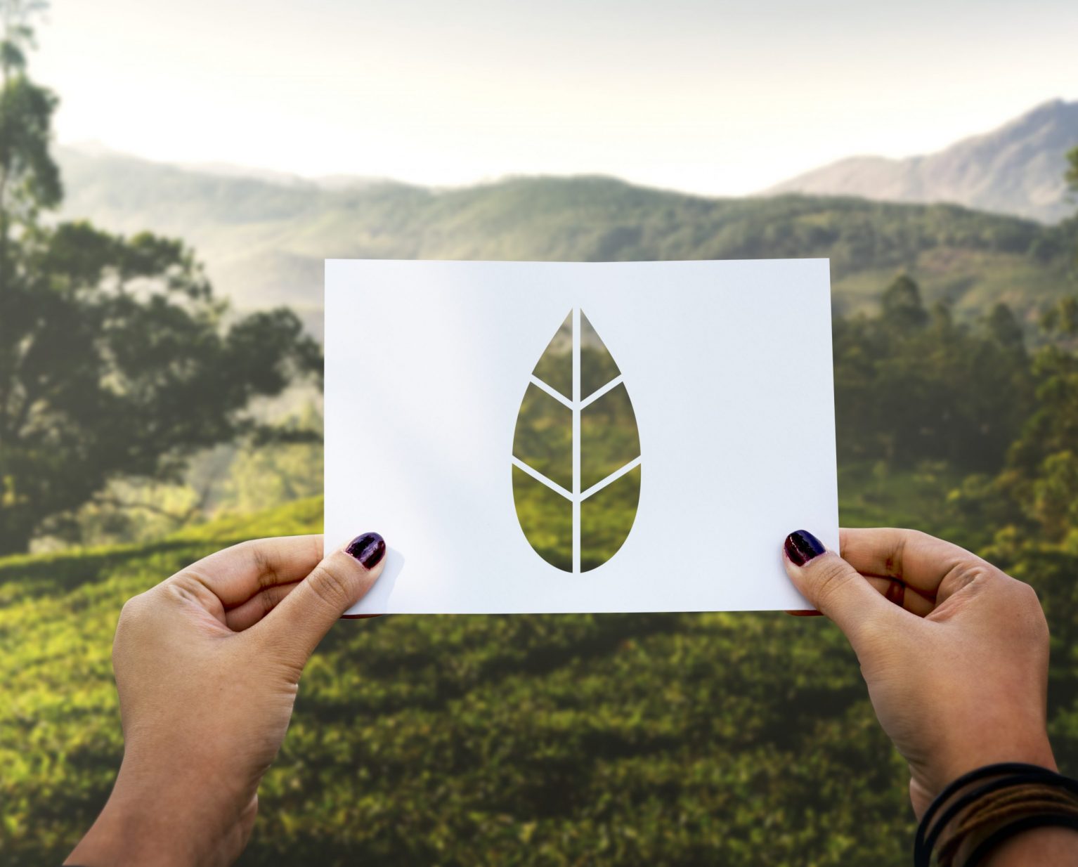 certifications-bio-vegan