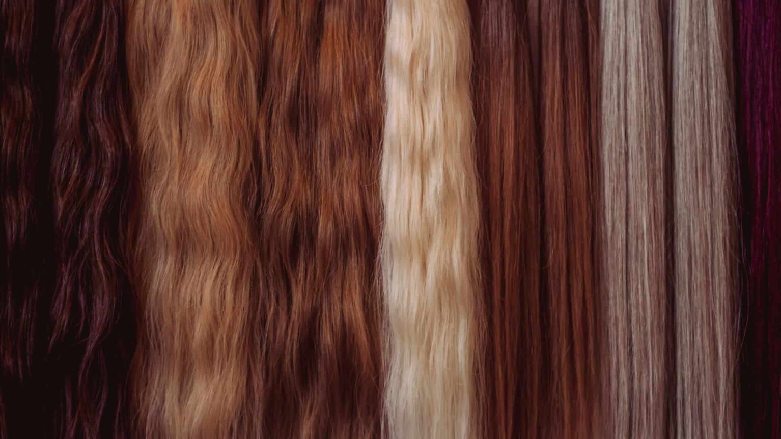 Les couleurs tendances cet automne