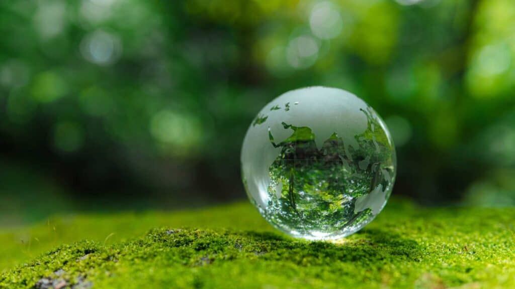 Réduire son empreinte écologique avec des produits capillaires sains