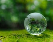 Réduire son empreinte écologique avec des produits capillaires sains