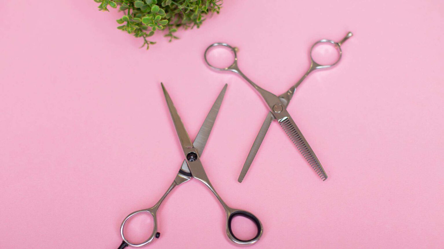 Paire de ciseaux à côté de verdure