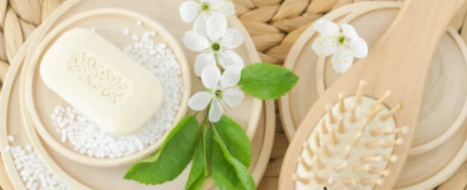 shampoing solide avec brosse à cheveux