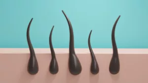 dessin de la repousse de cheveux