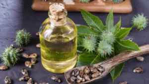 L'huile de ricin