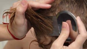 Peigne anti-poux sur la tête d'un enfant