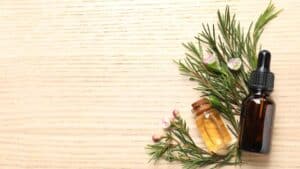 Huile essentielle d'arbre à thé comme produits naturels anti-poux