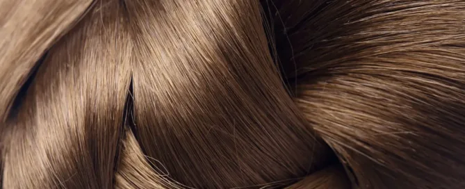 Gros plan sur la texture de cheveux bruns sains et brillants.