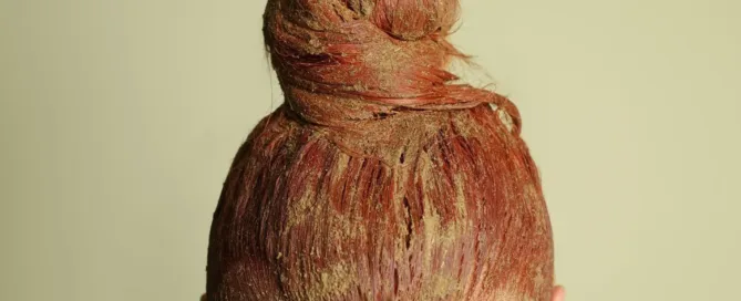 Coloration végétale maison sur une rousse