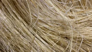 cheuveux colorés mal entretenu sale et cassant