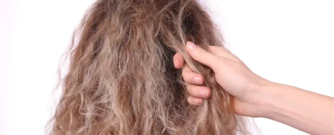 cheveux blond bouclés abîmé secs
