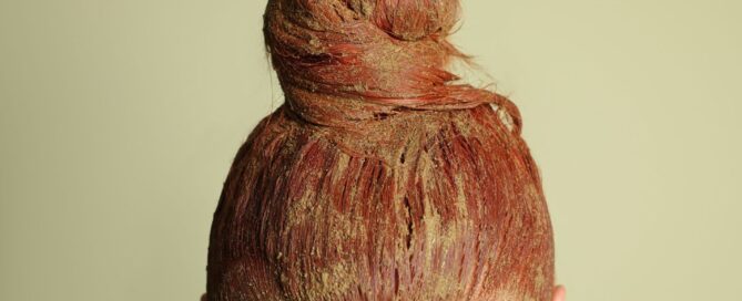 Coloration naturelle sur cheveux roux